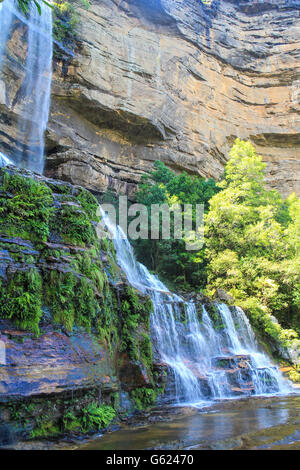 Dans la région de Wentworth falls Blue Mountains Australie Banque D'Images