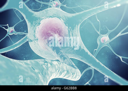 Les neurones du système nerveux central. Illustration 3d de cellules nerveuses Banque D'Images