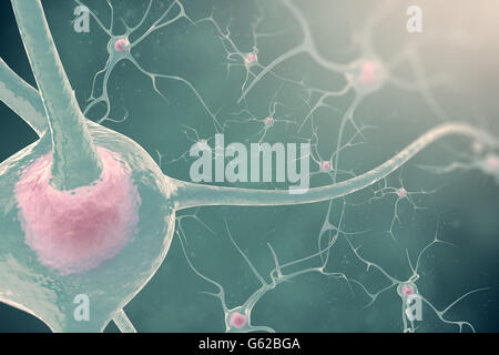 Les neurones du système nerveux avec l'effet de flou et de lumière. Illustration 3d de cellules nerveuses Banque D'Images