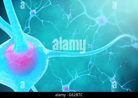 Les neurones dans le cerveau sur fond bleu. 3d illustration Banque D'Images