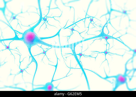 Les neurones dans le cerveau sur fond blanc avec l'accent d'effet. 3d illustration Banque D'Images