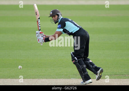 Cricket - Yorkshire Bank 40 - Surrey / Hampshire Royals - Kia Oval.Vikram Solanki, Surrey Banque D'Images