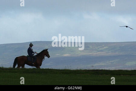 Galops à Middleham Banque D'Images