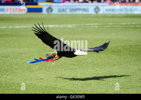 Soccer - npower Football League Championship - Crystal Palace v Barnsley - Selhurst Park Banque D'Images