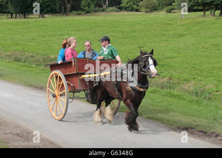 Les touristes sur un piège à cheval ride (horse & carriage) Muckross House, Killarney, dans le comté de Kerry, Irlande. Banque D'Images