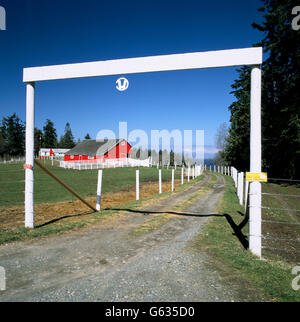 Grange rouge vif, CHARLES W. WILSON RANCH ; produits laitiers et bovins de boucherie, près de Sequim, Washington, USA Banque D'Images