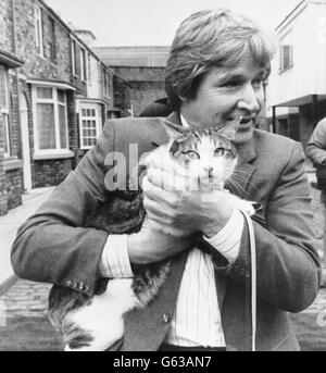 Frisky le tortoiseshell tomcat, qui est devenu la nouvelle mascotte de Coronation Street, est présenté à la célèbre terrasse de télévision par l'acteur William Roache, qui joue Ken Barlow, dans les studios de la télévision de Grenade à Manchester. Frisky, qui vit dans un château reconverti, près de Leeds, est prévu pour être vu dans les nouveaux crédits d'ouverture du savon. Banque D'Images