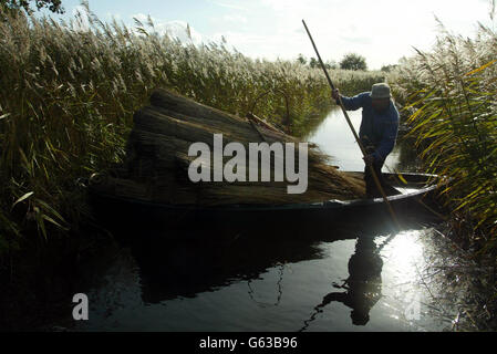 Coupe Reed - Eric Edwards Banque D'Images