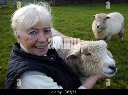 Moria Linaker avec Baby Harry, l'un de ses rares moutons Ryeland qui n'était pas infecté par la fièvre aphteuse.* la race rare est réintroduite dans l'histoire agricole de la famille royale grâce à une promesse de longue date faite à la hauteur de la crise du pied et de la bouche.Le petit agneau qui a survécu à la cull de masse il y a plus de dix-huit mois doit devenir un résident royal de la maison de Highgrove du Prince de Galles. Banque D'Images