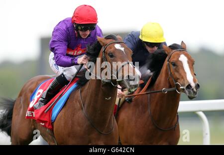 High Troja monté par Paul Hanagan sur le chemin de la victoire dans la Betfred Mobile Sports London Gold Cup pendant la JLT Lockinge Stakes Day à Newbury Racecourse, Berkshire. APPUYEZ SUR PHOTO D'ASSOCIATION. Date de la photo: Samedi 18 mai 2013. Voir PA Story RACING Newbury. Le crédit photo devrait se lire comme suit : David Davies/PA Wire. Banque D'Images