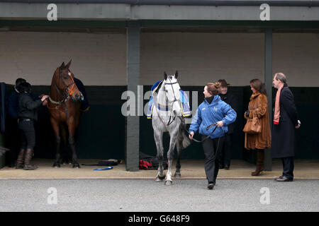 Horse Racing - Sauts Final - Hippodrome de Warwick Banque D'Images