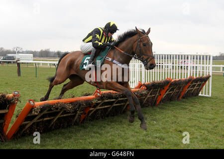 Horse Racing - Sauts Final - Hippodrome de Warwick Banque D'Images