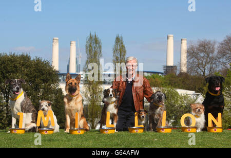 La personnalité de la télévision Paul O'Grady avec les chiens de secours Ripley une race mixte, Dodger un Terrier, Razor un Berger allemand, Dizzy a Collie, Radar a Jack Russell, Warf une race mixte, Gizmo a Shih Tzu-Jack Russell Cross et Moose a Rottweiler au parc Battersea de Londres dans le cadre du lancement de la campagne Feeding Gliver futures de Pedigree. Banque D'Images