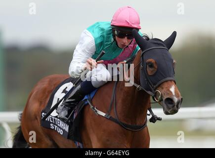Les enjeux de l'essai lors de la course de la Charity Scope & SIA à Newbury. Champ de courses. APPUYEZ SUR PHOTO D'ASSOCIATION. Date de la photo: Vendredi 17 mai 2013. Voir PA Story RACING Newbury. Le crédit photo devrait se lire comme suit : David Davies/PA Wire Banque D'Images