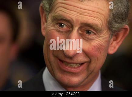 Le Prince de Galles au nouveau bâtiment Prince's Trust à Cardiff lors de sa visite au pays de Galles pour ouvrir officiellement le centre.* 27/11/02 le prince Charles marquait aujourd'hui le début des fêtes dans sa ville natale en allumant les lumières de Noël pour la première fois en huit ans.Une foule importante était attendue à Tetbury, dans le sud du Gloucestershire, pour la visite du Prince, qui a allumé les lumières de Noël de la ville marchande pour la dernière fois en 1994. Banque D'Images