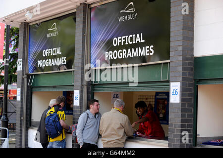 Soccer - npower Football League Championship - Play Off - Final - Crystal Palace v Watford - Stade de Wembley Banque D'Images