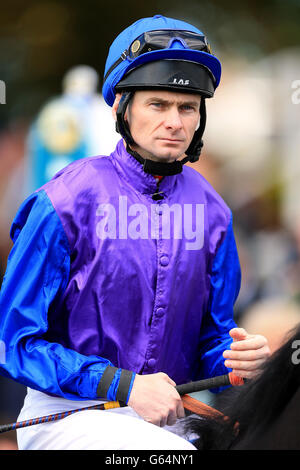 Courses hippiques - 2013 Dante Festival - Yorkshire Cup Day - York Racecourse. Jockey Robert Havlin. Banque D'Images