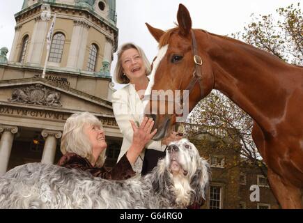 L'auteur Jilly Cooper et la présentatrice à la télévision Kate Adie, à l'extérieur du Musée impérial de la guerre dans le sud de Londres, avec le cheval Benjamin et le compositeur anglais Merlin, lors d'une séance photo pour lancer le Fonds commémoratif animaux dans la guerre. * .... où il a été annoncé qu'un nouveau monument majeur - dédié aux millions d'animaux qui ont servi aux côtés des forces britanniques et du Commonwealth dans les conflits du XXe siècle - est prévu pour être dévoilé sur Park Lane en 2004. Banque D'Images