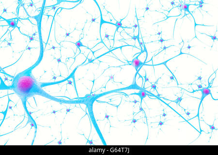 Les neurones dans le cerveau sur fond blanc avec l'accent d'effet. 3d illustration Banque D'Images