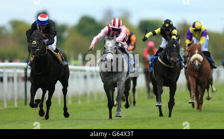 Les courses de chevaux - 2013 - Festival Dante Dante Stakes jour Betfred - Hippodrome de York Banque D'Images