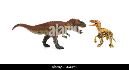 Tyrannosaurus velociraptor et sur un fond blanc Banque D'Images