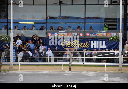 Courses de lévriers - William Hill Derby - Jour 1 - le stade de Wimbledon Banque D'Images