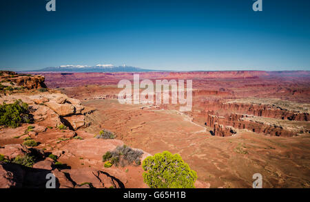 Amazing Canyonlands National Park, Utah, USA Banque D'Images