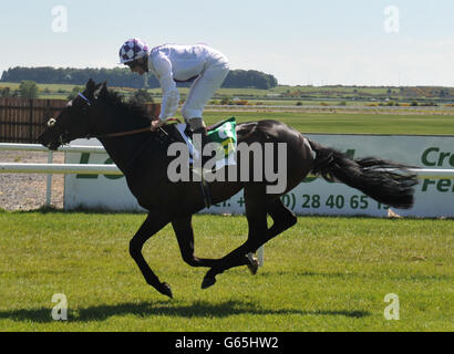 Kevin Manning fait le commerce du cuir à la victoire dans les piquets argent de TRM lors de la course de TRM au Curragh Racecourse de Co. Kildare, en Irlande. Banque D'Images