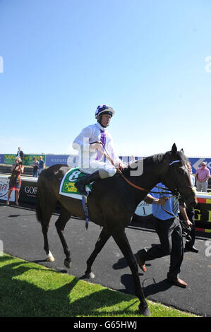 Jockey Kevin Manning célèbre l'équitation Trading Leather à la victoire dans les piquets argent de TRM lors de la journée de course de TRM à l'hippodrome de Curragh à Co. Kildare, en Irlande. Banque D'Images