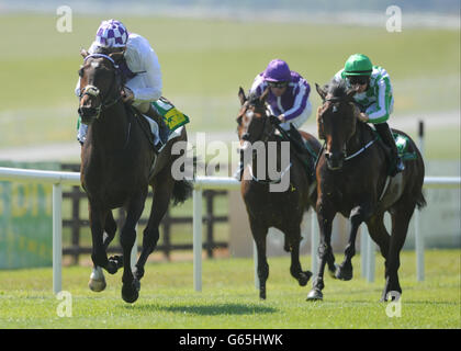 Les courses de chevaux - TRM Curragh Hippodrome - Le jour de la course Banque D'Images