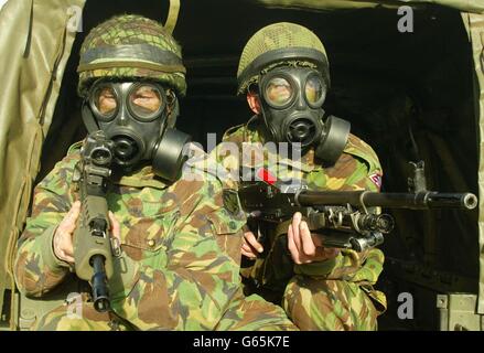 Les parachutistes du 3e Bataillon du Régiment de parachutistes pratiquent le port de masques à gaz lors d'un jour de presse à Friday Woods, près de leurs casernes à Colchester comme ils se préparer à se déployer dans le golfe dans les prochains jours . Banque D'Images