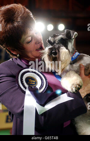 Jack, un chien gagnant, un Schnauzer miniature de 14 mois avec son propriétaire Jill Ogbun de Tatterwill Bridge, Lincs, à la grande finale Pup of the Year de Purina Beta dans la salle porter Tun de la brasserie de l'est de Londres. Banque D'Images