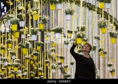 Angela Turner, directrice de la création de l'Association nationale des sociétés d'arrangement de fleurs pour la région de Wessex et Jersey, effectue des contrôles de dernière minute dans la nef de la cathédrale de Winchester dans le Hampshire, où le festival Symphony of Flowers commencera demain jusqu'au 16 juin 2013. Banque D'Images