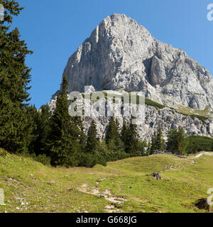 Mont Admonter Kalbling, 2196m, Admont, Styrie, Autriche, Europe Banque D'Images