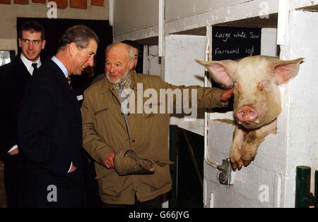 Le Prince de Galles (à gauche) rencontre l'agriculteur Peter Hart et sa grande croix blanche, lors d'une visite à la ferme de l'école Warriner à Bloxham, dans l'Oxfordshire. Le Prince de Galles a rencontré des jeunes dans l'école complète qui possède sa propre ferme biologique. Banque D'Images