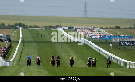 La course de chevaux 2013 - 2013 Juillet - Festival Piper-Heidsieck Darley July Cup Day - Newmarket Racecourse Banque D'Images