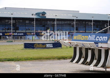 Greyhound Racing - William Hill Derby - Quarter finals - Wimbledon Stadium.Vue générale de l'intérieur du stade de Wimbledon avant la course en soirée Banque D'Images