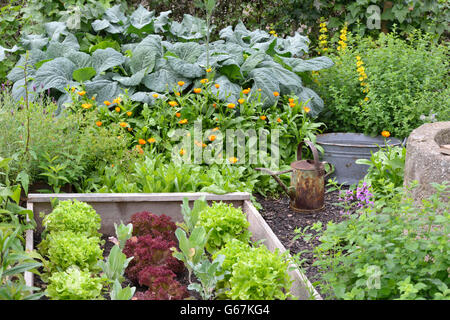 Jardin potager, jardin de la faune Banque D'Images