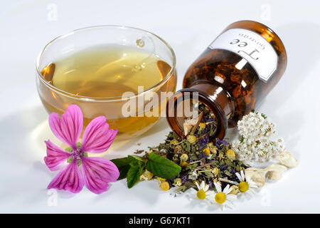 La menthe poivrée, sucrée, mauvaises herbes, feuilles de guimauve racine de guimauve, millefeuille, feuilles de mauve, mauve, Matricaria recutita / commune (Malva sylvestris), (Achillea millefolium), (Mentha piperita), (Althaea officinalis) / camomille, camomille, camomille, camomille, camomille bleue annuelle, la camomille commune, Camomille Sauvage, camomille douce, camomille sauvage, camomille allemande Banque D'Images