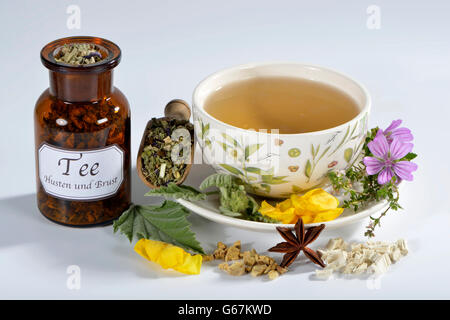 La Guimauve, la racine de guimauve, racine de réglisse, sucré, Molène, Molène Thapsus, Molène, commune de feuilles de mauve, mauve, mauve commune, le thym, l'anis étoilé, herbe de / (Althaea officinalis), (Althaeae folium), (Althaeae radix), (Glycyrrhiza glabra), (Radix Glycyrrhizae), (Thymus vulgaris), (Pulmonaria officinalis), (llicium verum), (Malva sylvestris), (Verbascum densiflorum) Banque D'Images