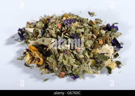 La Guimauve, la racine de guimauve, racine de réglisse, sucré, Molène, Molène Thapsus, Molène, commune de feuilles de mauve, mauve, mauve commune, le thym, l'anis étoilé, herbe de / (Althaea officinalis), (Althaeae folium), (Althaeae radix), (Glycyrrhiza glabra), (Radix Glycyrrhizae), (Thymus vulgaris), (Pulmonaria officinalis), (llicium verum), (Malva sylvestris), (Verbascum densiflorum) Banque D'Images