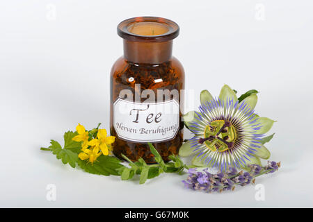 Nerfs et calmer thé sucré, d'oranger, mélisse, millepertuis, Orange, lavande, houblon, passiflore herbe / (Melissa officinalis), (Passiflora incarnata), (Citrus sinensis), (Hypericum perforatum), (Humulus lupulus), (Lavandula angustifolia) Banque D'Images