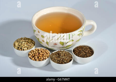 Tasse de thé à l'anis, fenouil, cumin, coriandre annuelle / (Pimpinella anisum, Foeniculum vulgare, Carum carvi, Coriandrum sativum) Banque D'Images