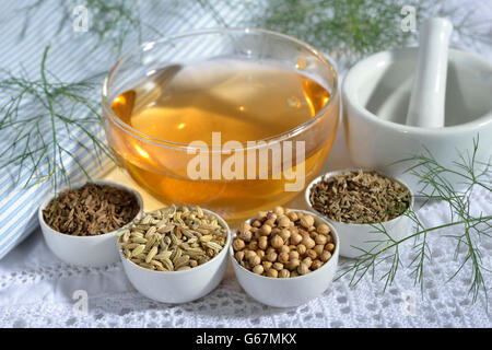 Tasse de thé à l'anis, fenouil, cumin, coriandre annuelle / (Pimpinella anisum, Foeniculum vulgare, Carum carvi, Coriandrum sativum) Banque D'Images