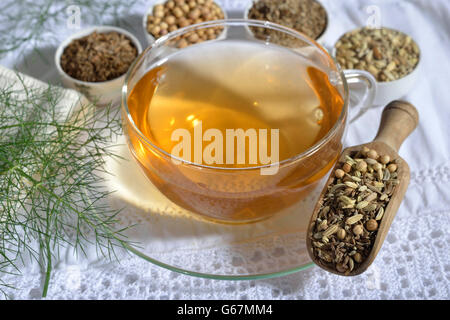 Tasse de thé à l'anis, fenouil, cumin, coriandre annuelle / (Pimpinella anisum, Foeniculum vulgare, Carum carvi, Coriandrum sativum) Banque D'Images