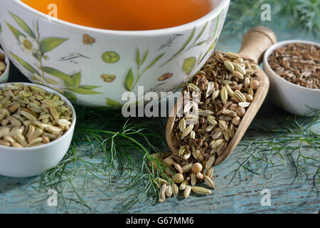 Tasse de thé à l'anis, fenouil, cumin, coriandre annuelle / (Pimpinella anisum, Foeniculum vulgare, Carum carvi, Coriandrum sativum) Banque D'Images