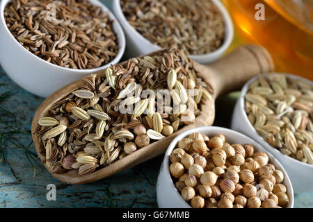 Plateau avec de l'anis, fenouil, cumin, coriandre annuelle / (Pimpinella anisum, Foeniculum vulgare, Carum carvi, Coriandrum sativum) Banque D'Images