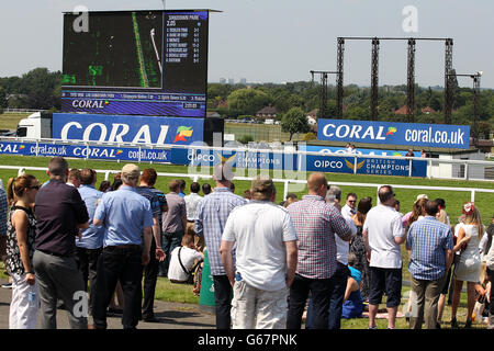 Courses hippiques - Coral-Eclipse Day - Sandown Park. Les Racegoers regardent l'action au parc Sandown Banque D'Images