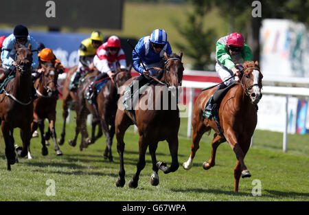 La course de chevaux 2013 - 2013 Juillet - Festival Piper-Heidsieck Boylesports Mesdames Jour - Newmarket Racecourse Banque D'Images