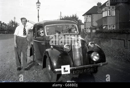 Années 1950, historiques, l'apprentissage de la conduite. Dame en place de conduite de voiture avec l assiette sur pare-choc avant. Banque D'Images